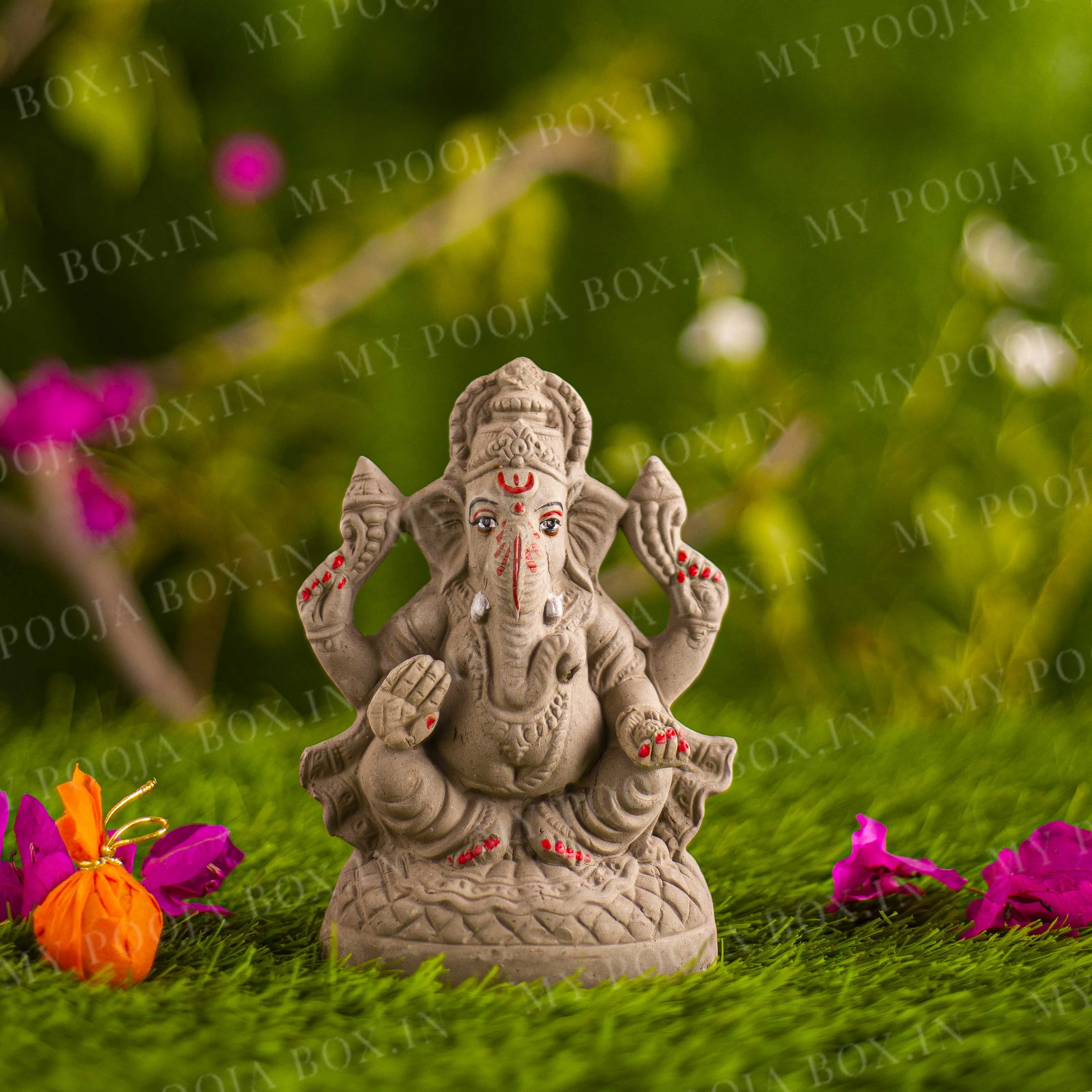 6INCH Ameya Eco-Friendly Ganpati | Plant-A-Ganesha