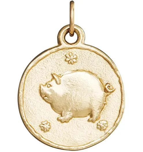 Pig Coin Charm